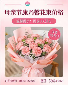 南阳宛城区花店母亲节康乃馨花束