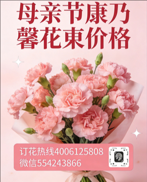南阳宛城区花店母亲节康乃馨花束